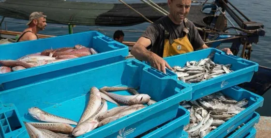 Pescadores clasificando el pescado recién llegado a puerto